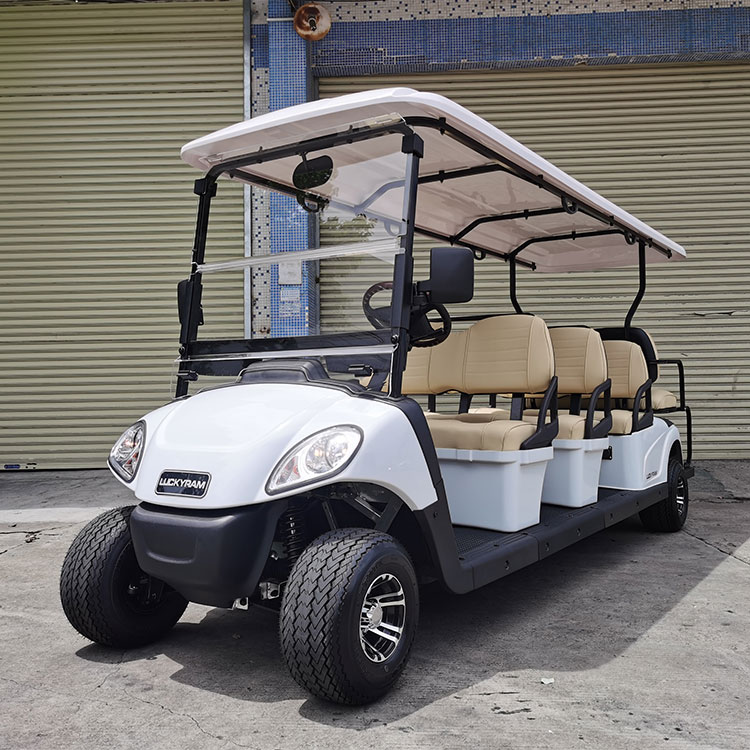 What Is The Passenger Capacity Of A Large Electric Sightseeing Car