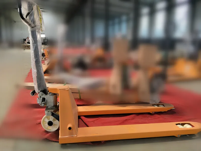 China Factory Produced 2 Ton or 3 Ton Hydraulic Hand Pallet Truck with Competitive Price