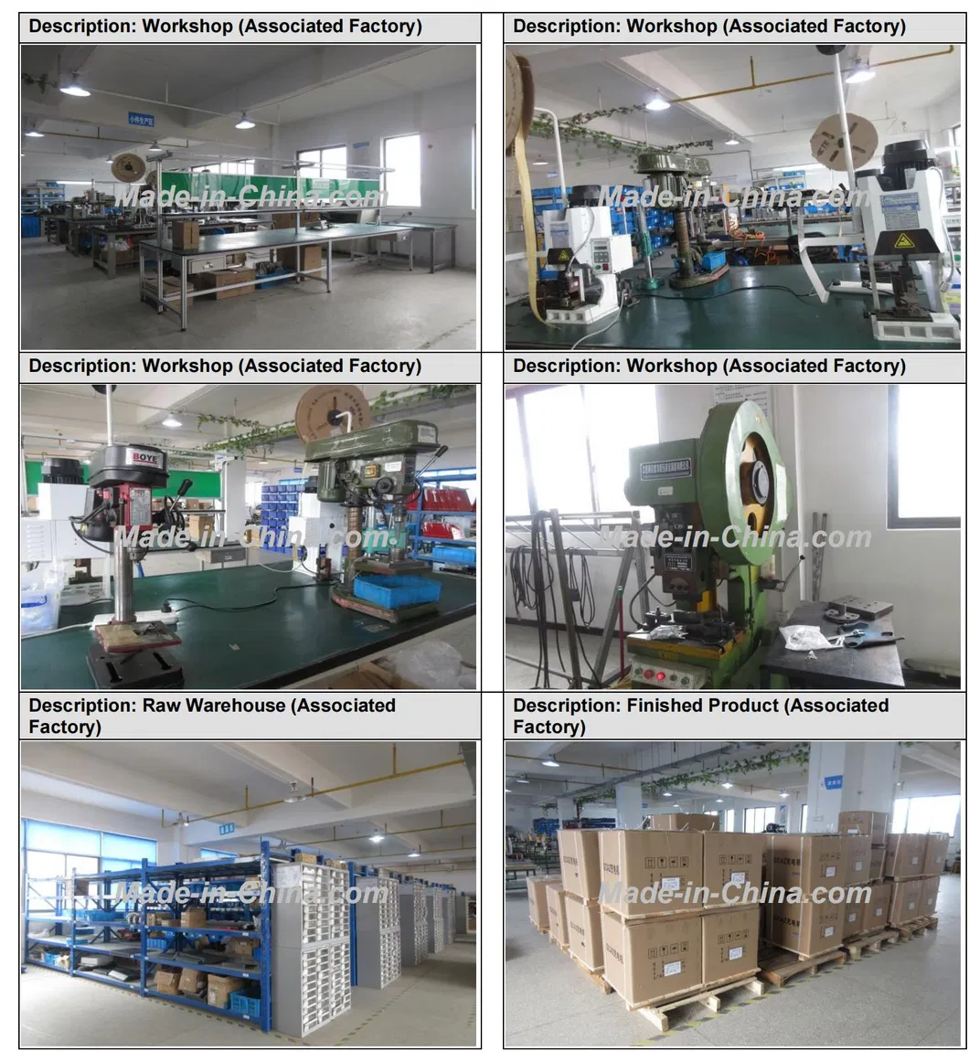 Provide Xilin Mini Pallet Truck Cbd15W Drive Motor Controller Keb48201X