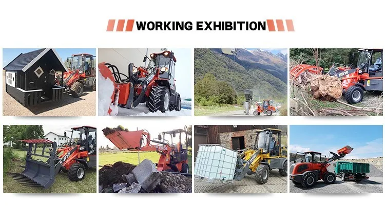Reliable Producer Everun Supply Erdf20 2ton Diesel Forklift Hot Selling with Factory Price